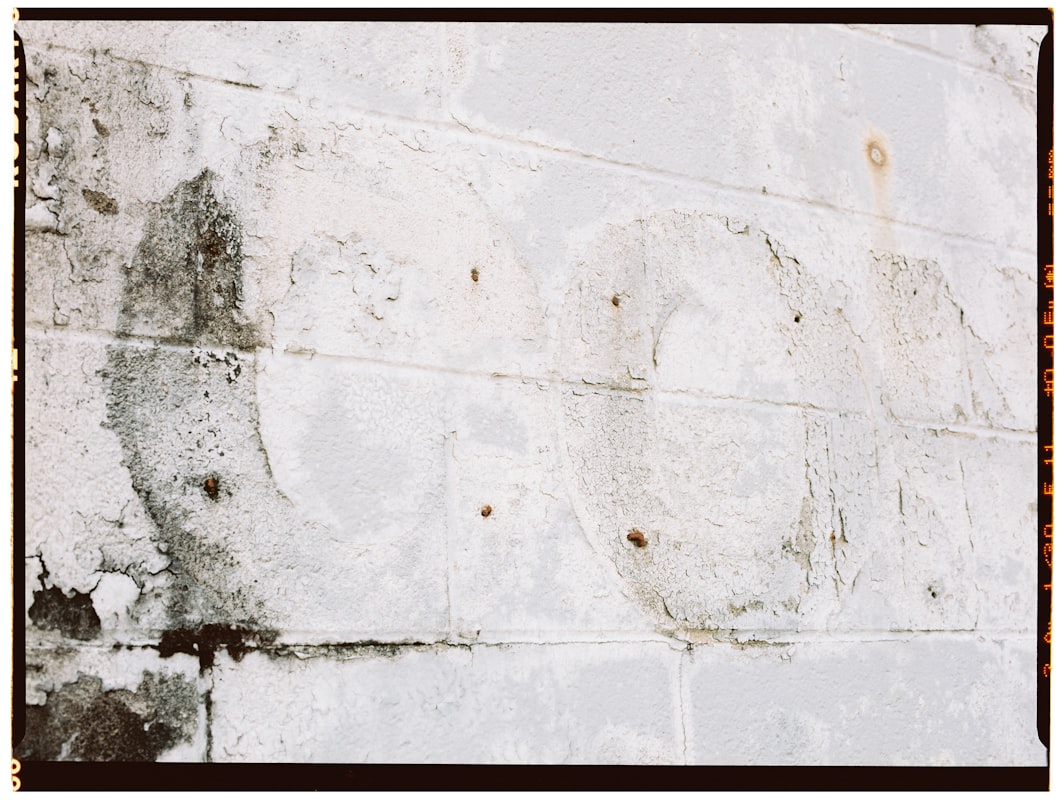 Water Extraction service in Jeffersonville, IN