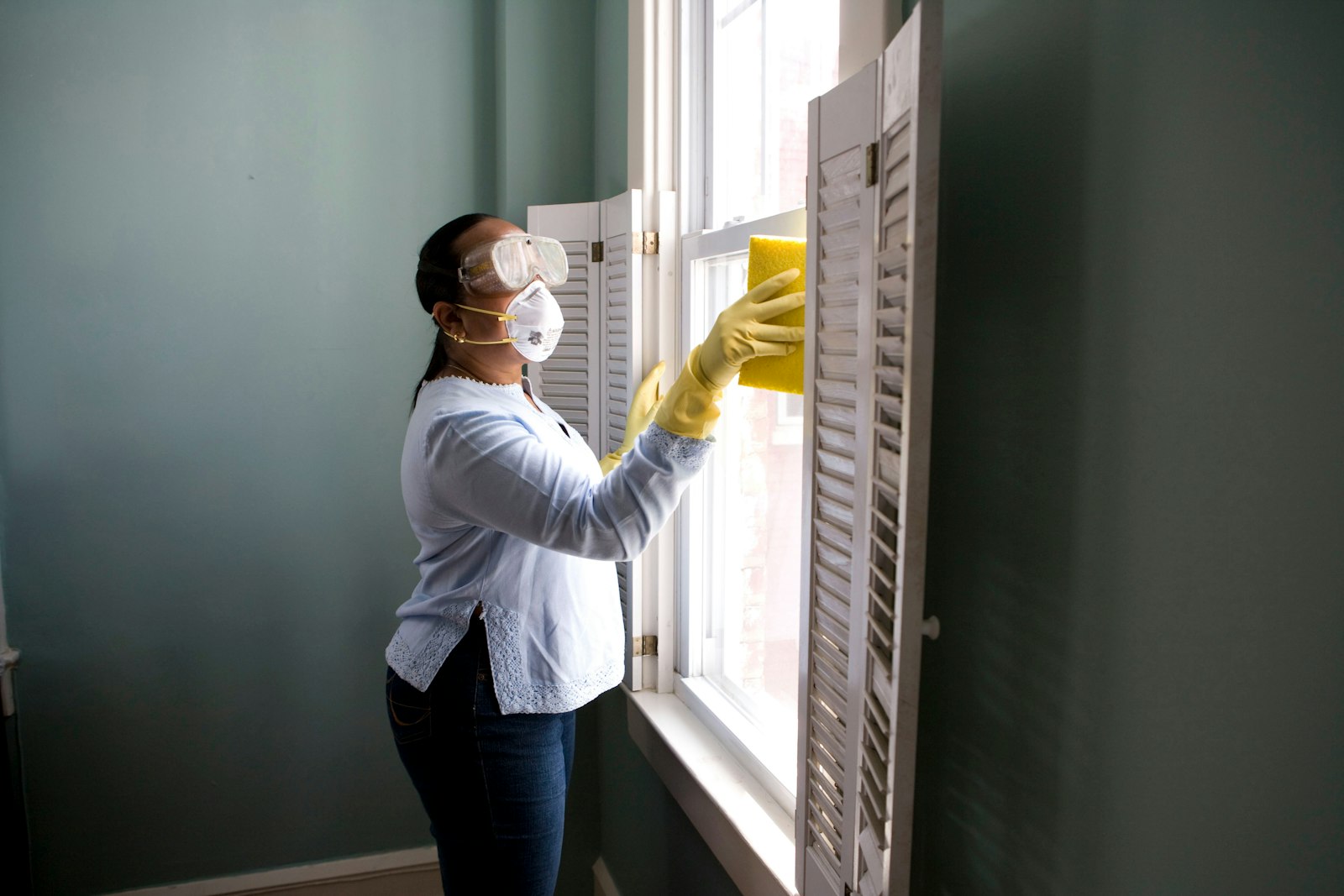 Mold Remediation service in Jeffersonville, IN