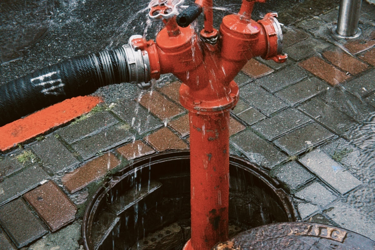 Flood Cleanup service in Jeffersonville, IN